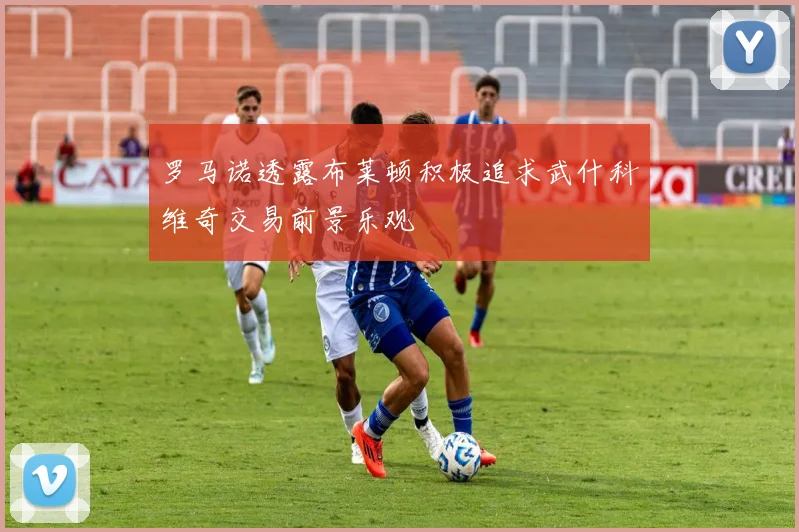 罗马诺透露布莱顿积极追求武什科维奇交易前景乐观