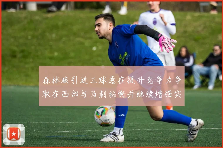 森林狼引进三球意在提升竞争力争取在西部与马刺抗衡并继续增强实力