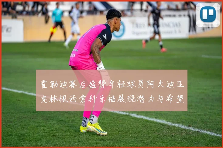 霍勒迪赛后盛赞年轻球员阿夫迪亚克林根西索科乐福展现潜力与希望