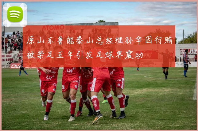 原山东鲁能泰山总经理孙华因行贿被禁足五年引发足球界震动